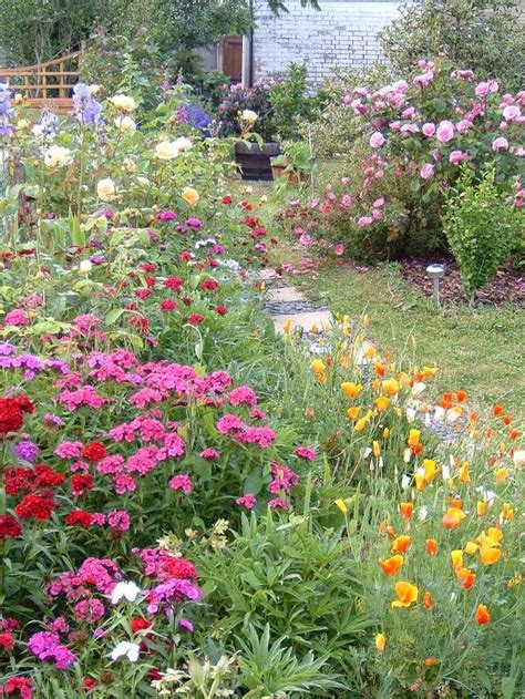 Association de plantes avec les rosiers